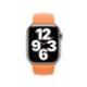 Apple Watch - 41mm Marigold Sport Band - Regular