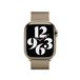 Apple Watch - 41mm Gold Milanese Loop