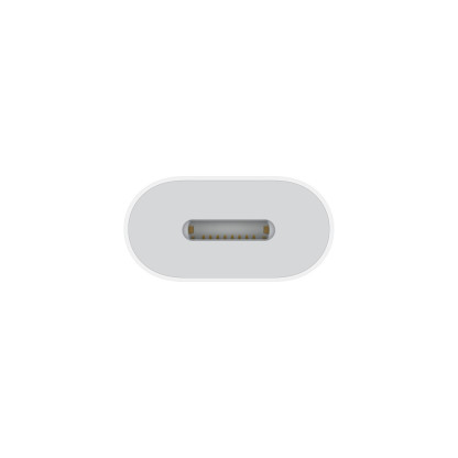 Apple USB-C to Lightning Adapter Cable