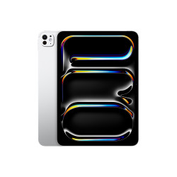 11-inch iPad Pro WiFi 256GB with Standard glass - Silver