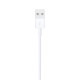 Lightning to USB Cable (0.5 m)