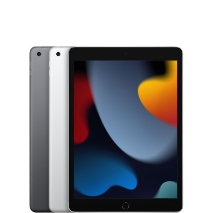 10.2-inch iPad Wi-Fi + Cellular 256GB - Space Grey