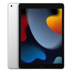 Apple 10.9-inch iPad Wi-Fi + Cellular 256GB - Silver