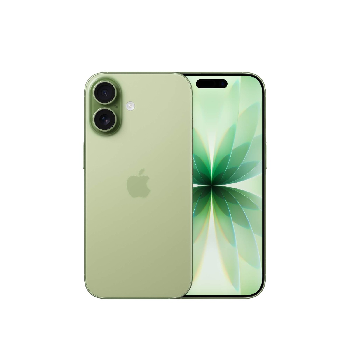 iPhone 17 Product Image 4